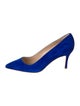 Manolo Blahnik Suede Pumps