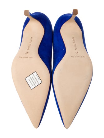 Manolo Blahnik Suede Pumps