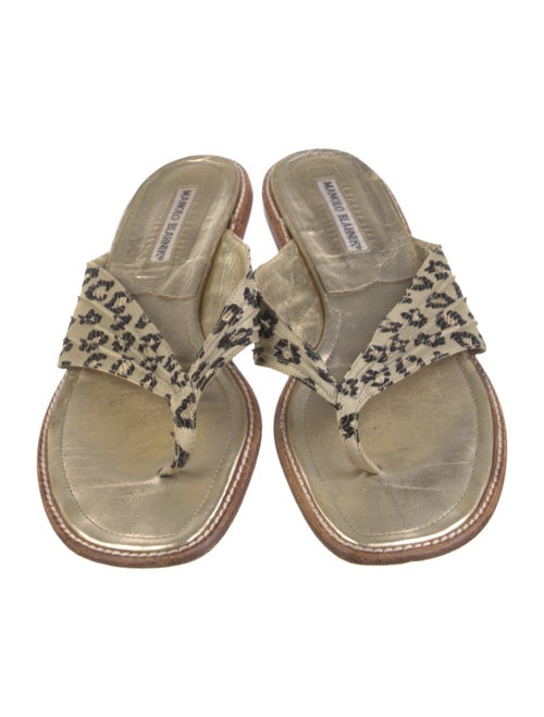Manolo Blahnik Animal Print Slides