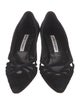 Manolo Blahnik Suede Pumps