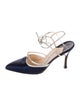 Manolo Blahnik Slingback Pumps