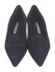 Manolo Blahnik Suede Pumps