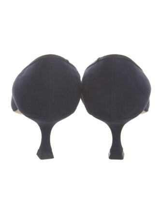 Manolo Blahnik Suede Pumps