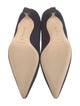 Manolo Blahnik Suede Pumps