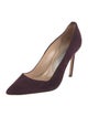 Manolo Blahnik Suede Pumps
