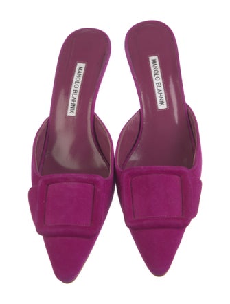Manolo Blahnik Suede Mules