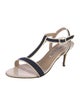 Manolo Blahnik Colorblock Pattern T-Strap Sandals