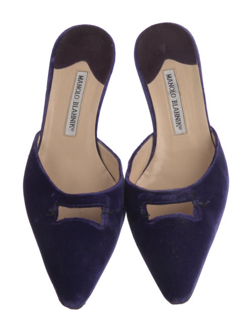 Manolo Blahnik Maysale Velvet Mules