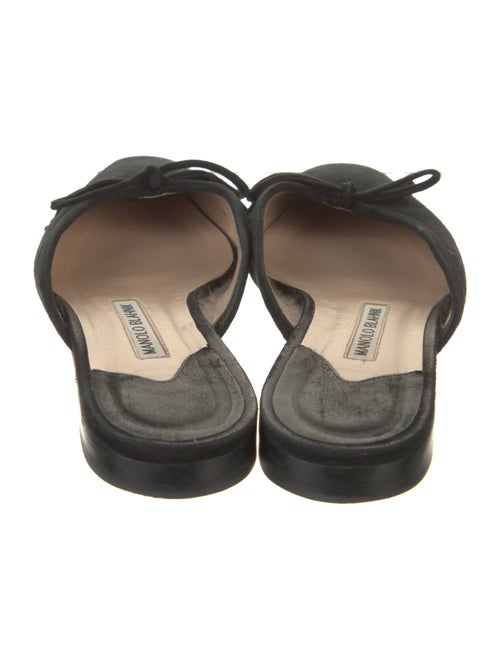 Manolo Blahnik Ballerimu Suede Mules