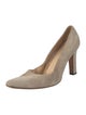 Manolo Blahnik Suede Pumps