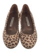 Manolo Blahnik Suede Printed Flats