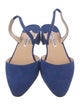 Manolo Blahnik Aspro 30 Suede Slingback Pumps