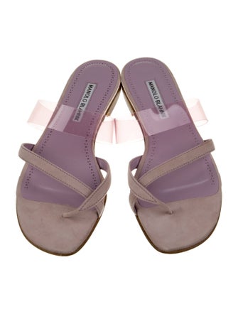 Manolo Blahnik Susina Suede Slides