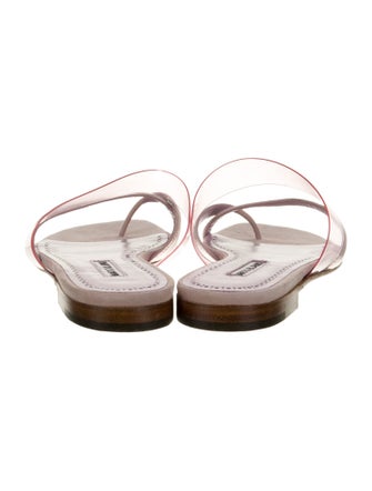 Manolo Blahnik Susina Suede Slides