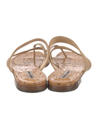 Manolo Blahnik Slides