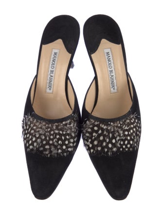 Manolo Blahnik Versailles Suede Mules