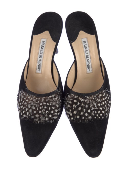 Manolo Blahnik Versailles Suede Mules