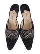 Manolo Blahnik Versailles Suede Mules