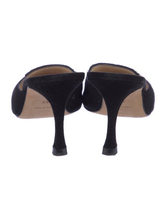 Manolo Blahnik Versailles Suede Mules