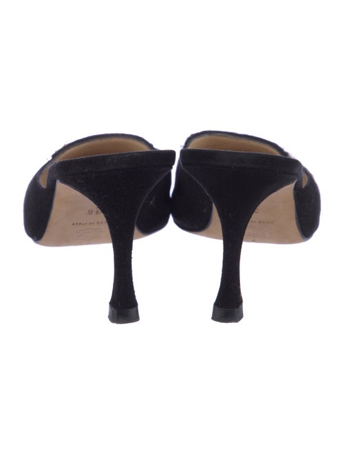 Manolo Blahnik Versailles Suede Mules