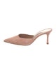 Manolo Blahnik Arriga Suede Mules