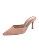 Manolo Blahnik Arriga Suede Mules