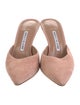 Manolo Blahnik Arriga Suede Mules