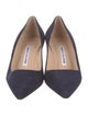 Manolo Blahnik Suede Pumps