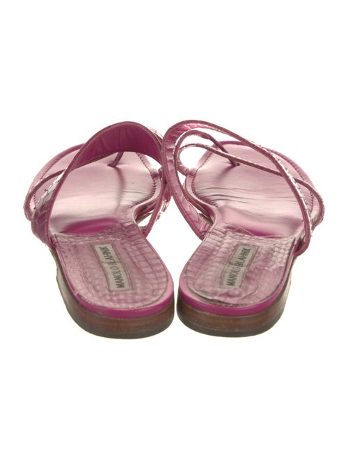 Manolo Blahnik Snakeskin Slides