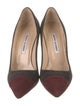 Manolo Blahnik BB Bipunta 105 Suede Pumps