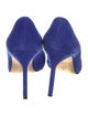 Manolo Blahnik Suede Pumps