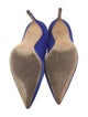 Manolo Blahnik Suede Pumps