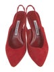 Manolo Blahnik Carolyne Suede Slingback Pumps