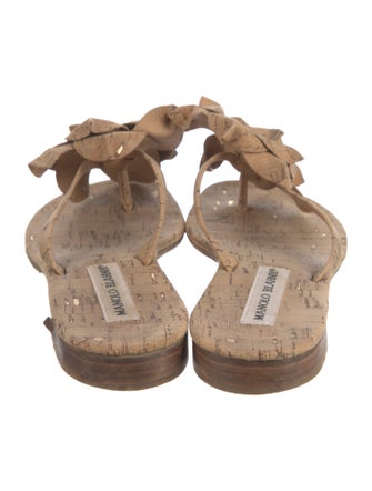 Manolo Blahnik Slides