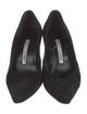 Manolo Blahnik Suede Pumps