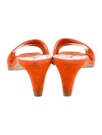 Manolo Blahnik Araspemu Suede Slides