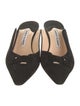 Manolo Blahnik Maysale Suede Mules