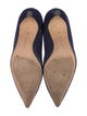 Manolo Blahnik BB Suede Pumps