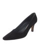 Manolo Blahnik Moiralo Suede Pumps