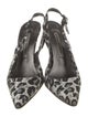 Manolo Blahnik Canvas Animal Print Slingback Pumps