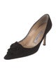 Manolo Blahnik Suede Pumps