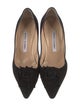 Manolo Blahnik Suede Pumps
