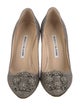 Manolo Blahnik Hangisi Crystal Embellishments Pumps