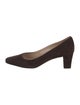 Manolo Blahnik Daphne Suede Block Heel Pump Suede Pumps