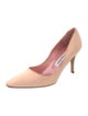 Manolo Blahnik Pumps