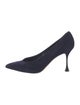 Manolo Blahnik Elydea Suede Pumps