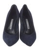 Manolo Blahnik Elydea Suede Pumps
