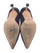 Manolo Blahnik Elydea Suede Pumps