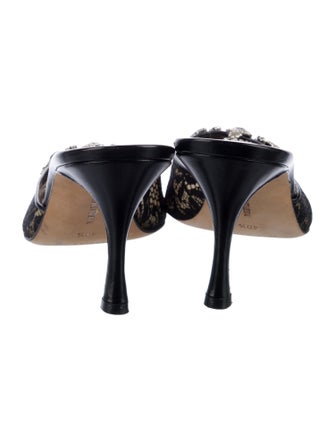 Manolo Blahnik Lace Lace Pattern Mules
