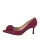 Manolo Blahnik Suede Pumps